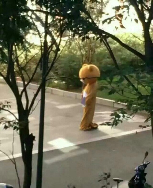 Kết quả màn tỏ tình khiến nhiều người tò mò, có người nói rằng hôm đó cô gái không có ở ký túc xá, sau khi cô gái biết được tình cảm chân thành đã chấp nhận lời tỏ tình của chàng trai. Cũng có người nói rằng hôm đó bởi mặt trời lên cao, quá nóng bức, sợ chàng trai xảy ra chuyện không may, giáo viên đã khuyên chàng trai ra về, màn tỏ tình thất bại toàn tập.