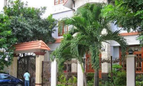 Những loại cây nên chọn lựa trồng trước khuôn viên nhà. Ảnh minh họa