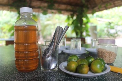 Một thứ đồ uống khác được Daley nhắc tới với rất nhiều mỹ từ là trà mật ong - thứ cô được thưởng thức khi đang khám phá đồng bằng sông Cửu Long, được pha từ chè, mật ong và chanh. "Đó là thứ trà tuyệt vời. Vị chua của chanh kết hợp với vị ngọt của mật ong đã tạo nên thứ hương vị tuyệt diệu. Không những thế, người hướng dẫn của chúng tôi còn cho biết đó là thứ thức uống rất tốt cho sức khỏe, có thể giúp bạn sống lâu hơn".