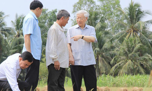 Tổng Bí thư Nguyễn Phú Trọng kiểm tra các trà lúa bị xâm nhập mặn ở huyện Giồng Trôm. Ảnh: Nhật Tân.
