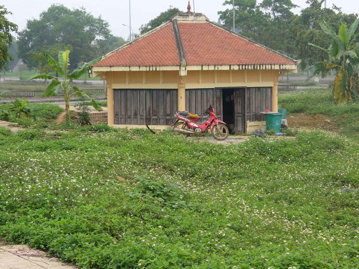 ... những căn nhà lớn chỉ có bóng dáng 1 người ở.