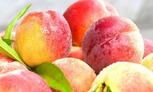 Đào rất dễ dập nát và mất nước trong quá trình vận chuyển, vì thế người bán thường ngâm loại quả này với axit citric công nghiệp để giữ được màu sắc hấp dẫn của quả đào.