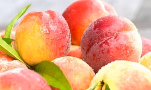 Đào rất dễ dập nát và mất nước trong quá trình vận chuyển, vì thế người bán thường ngâm loại quả này với axit citric công nghiệp để giữ được màu sắc hấp dẫn của quả đào. Đào rất dễ dập nát và mất nước trong quá trình vận chuyển, vì thế người bán thường ngâm loại quả này với axit citric công nghiệp để giữ được màu sắc hấp dẫn của quả đào.