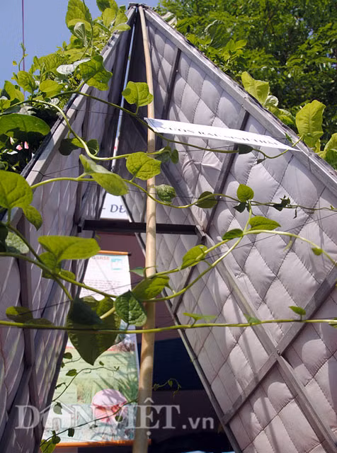 Theo những người thực hiện mô hình, chỉ cần tốn 336.000 đồng để sản xuất một bộ dụng cụ vườn treo dạng này và trồng được 180 cây rau. Vì vườn treo này được dựng gần như thẳng đứng trong không gian nên không chiếm nhiều diện tích, rất phù hợp với các diện tích nhỏ hẹp như ban công, sân thượng. Một ban công nhỏ hẹp có thể đặt được 2 vườn treo, cung cấp đủ rau sạch ăn hàng ngày cho gia đình 5-7 người.