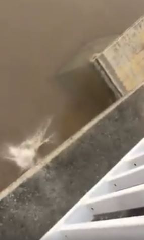 Tranh cai clip co gai nhay cau tu tu o Hai Phong-Hinh-2