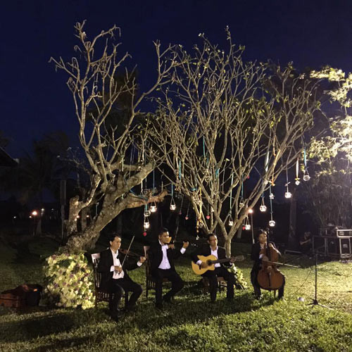 Trong đám cưới, ban nhạc chơi guitar dưới những gốc cây khiến buổi tiệc thêm phần du dương và lãng mạn.