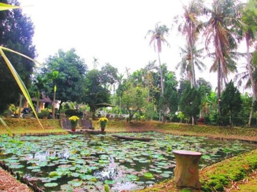 Hồ sen rộng phía trước phủ thờ ví như minh đường khiến du khách ghé qua đây cảm nhận được không khí trong lành, thanh tịnh bên cạnh những loại thảo mộc bon sai, tiểu cảnh, chậu hoa đầy hương sắc.