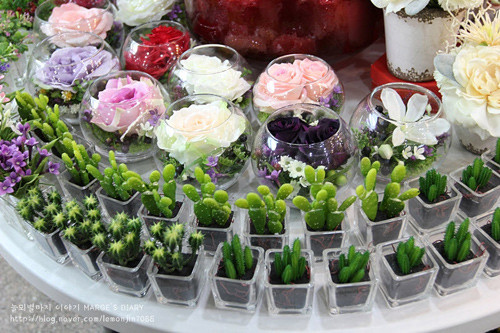 Được bày bán và tìm mua nhiều nhất vẫn là những chậu xương rồng nhỏ. Khách mua chủ yếu là sinh viên và dân văn phòng nên họ thích những chậu cây cảnh nhỏ có thể bày trên bàn.