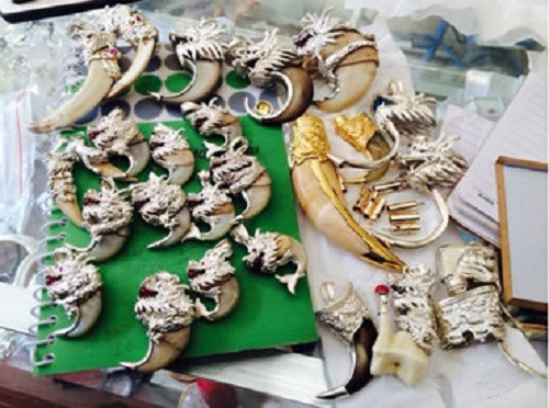 Nanh, da hổ, báo được các đối tượng rao bán tràn lan trên mạng.