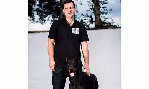 Mua cho Doberman o Viet Nam, con nhieu rui ro