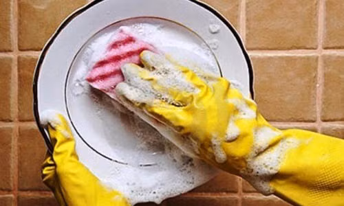 Meo hay rua bat sach va khong co mui hoi