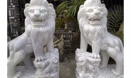 Nha nhu the nao thi nen dung su tu de tran ta?