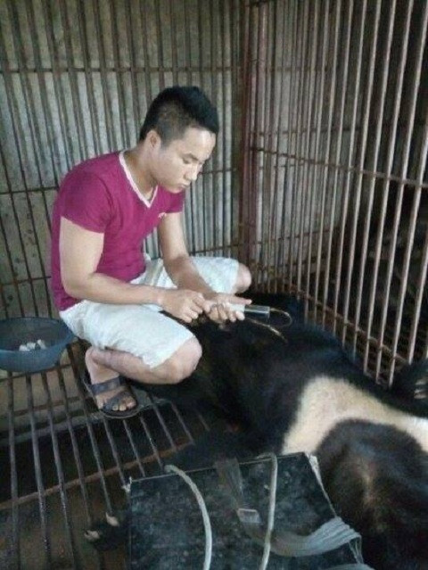 Ngang nhien rao ban thu quy tren facebook, thach thuc cong an-Hinh-3