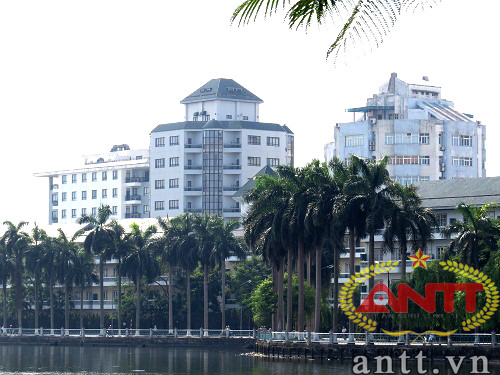 Nét đặc trưng của những ngôi biệt thự ở hồ Tây là được tô điểm với nhiều loại cây, hoa xinh xắn.