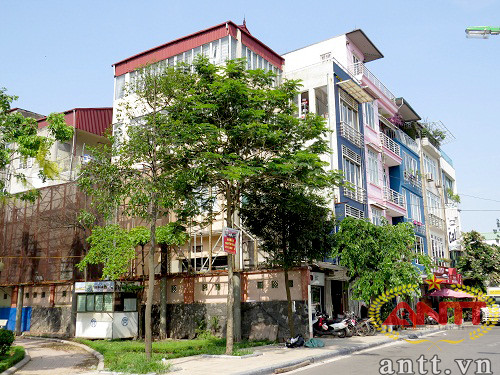 Biệt thự ở đây được thiết kế xây dựng rất hiện đại