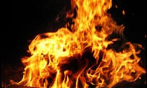 Ảnh minh họa (nguồn Internet).