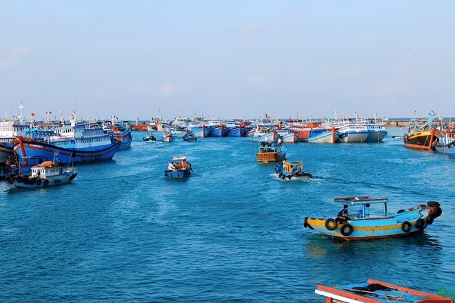 Đảo Phú Quý cách Phan Thiết 56 hải lý, còn có tên gọi khác là cù lao Thu hay Cù lao Khoai xứ, một hòn đảo có niên đại được ước tính khoảng 60 triệu năm. Phong cảnh trên đảo đẹp như tranh, dưới biển thì đầy ắp cá tôm và các hải đặc sản.