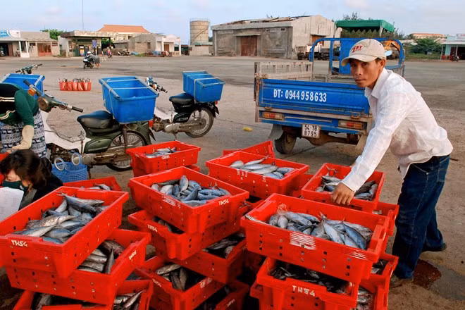Hầu hết người dân sống trên đảo này đều là lao động biển.
