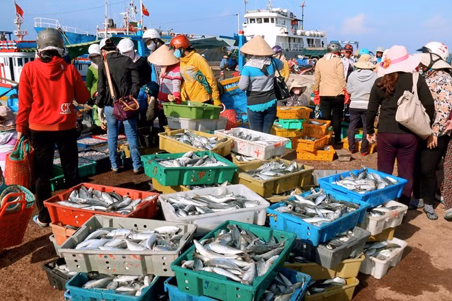 Chợ cá là điểm đến đặc biệt của du kháchi tham quan đảo Phú Qúy. Khi thuyền vừa cập bến, du khách tự tay lựa chọn ốc sò, cua, ghẹ… còn tươi roi rói rồi chuyển thẳng lên tàu về lại đất liền. Cách bán nơi đây cũng rất độc đáo, dân dã, không phân biệt giá bán giữa dân địa phương và khách du lịch.