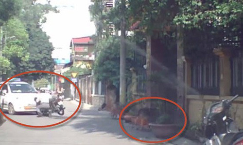 So cho sua, nguoi dan ong lao vao dau xe taxi