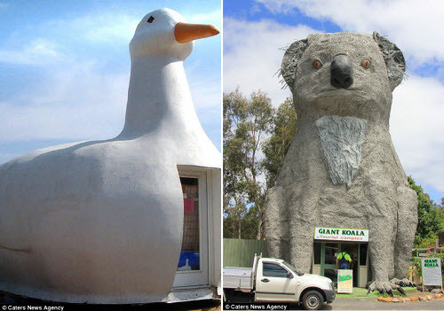 Một cửa hàng có hình giống vịt khổng lồ ở New York, Mỹ (trái). Tổ hợp du lịch Gấu túi khổng lồ ở Australia.