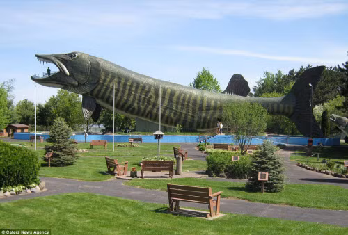 Tòa nhà có hình giống cá chó đang nhảy tại thị trấn Hayward, bang Wisconsin, Mỹ.