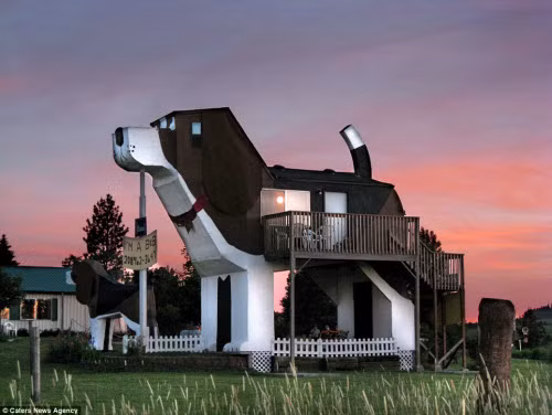 Khách sạn Dog Bark Park Inn được xây dựng tại thành phố Cottonwood, bang Indiana, Mỹ. Đây là công trình do cặp đôi Frances Conklin và Dennis Sullivan thiết kế với hình dạng giống những chú chó cưng của họ.