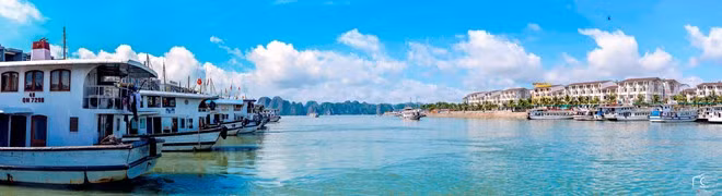 Đến Hạ Long vài lần, nhưng lần nào khi đặt chân đến Bãi Cháy (thành phố Hạ Long, tỉnh Quảng Ninh), khi nhóm bạn đi thuê tàu khám phá vịnh, tôi chỉ làm một việc là dõi mắt ra xa, ngắm phong cảnh. Vịnh Hạ Long đón tôi như một người bạn đi xa lâu ngày gặp lại.