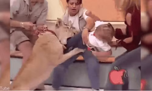 Be gai bi su tu vo ngay tren song truyen hinh gay soc