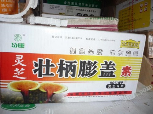 Thuốc kích thích tăng trưởng cho nấm.