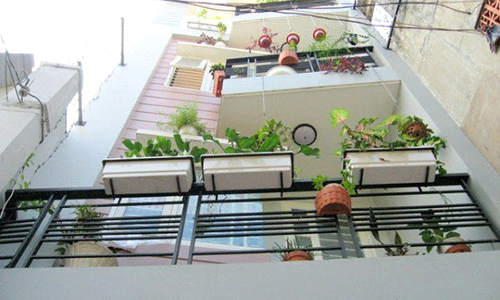 Từ ban công nhìn ra môi trường xung quanh không tốt nên trồng cây xương rồng để hóa giải - Ảnh minh họa.