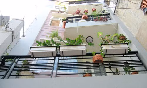 Từ ban công nhìn ra môi trường xung quanh không tốt nên trồng cây xương rồng để hóa giải - Ảnh minh họa.