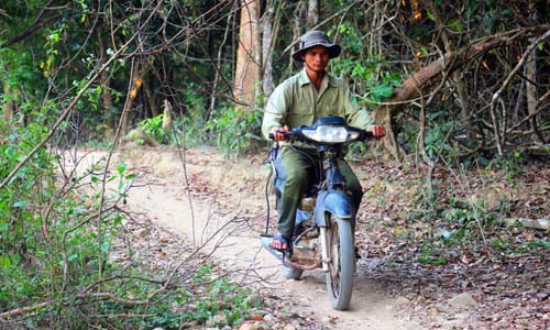 So canh co lap ca lang xe nui mo duong