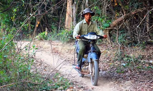 So canh co lap ca lang xe nui mo duong