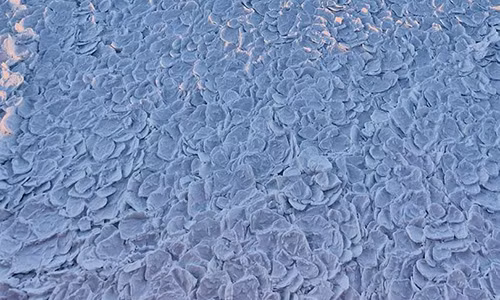 Kỳ lạ hiện tượng băng “vảy rồng” độc đáo Ky la hien tuong bang “vay rong” doc dao