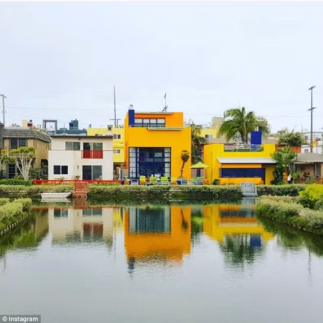 Một căn nhà màu vàng hoàng yến ở Venice Canals, California đã được mệnh danh là căn nhà hot nhất trên mạng xã hội, gần như trở thành một ngôi sao trên Instagram - mang đến danh tiếng cho cả chủ sở hữu ngôi nhà. Nely Galan, Cựu chủ tịch của Telemundo, nói rằng cô mạnh dạn sơn màu vàng với những điểm nhấn màu xanh coban cho ngôi nhà bên kênh. Lúc đó, cô không nghĩ rằng nó sẽ trở thành điểm thu hút khách du lịch, cho đến khi ngôi nhà xuất hiện trên thời báo Los Angeles Times vào năm 2011.
