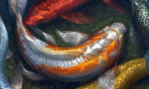 Cuoi vo bung cai ket ten trom an cap hai con ca 'khung