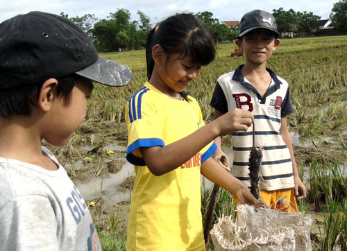 Doc dao kieu san chuot dong cua nguoi dan xu Nghe-Hinh-2