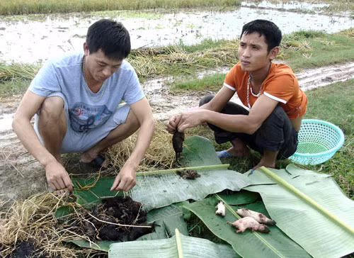 Doc dao kieu san chuot dong cua nguoi dan xu Nghe