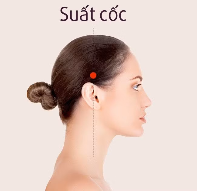 Suất cốc là huyệt nằm cách mép tóc và trán 2-3 cm, hơi lõm xuống. Bấm vào huyệt này giúp giảm đau vùng đầu xung quanh và chống mỏi mắt.