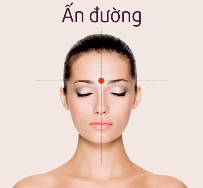 Ấn đường là huyệt nằm giữa hai lông mày, nơi giao với đường từ mũi lên trái. Huyệt này còn giúp mắt đỡ mệt mỏi.
