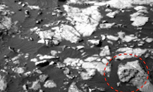 Bang chung giat minh ve loai khung long bao chua tren sao Hoa