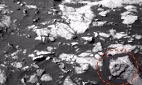 Bang chung giat minh ve loai khung long bao chua tren sao Hoa