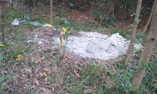 Ngôi mộ bất thường được lực lượng chức năng khai quật