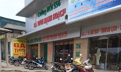 Tranh chap “ga Manh Hoach“: Cuong hoi kien Cuong 556