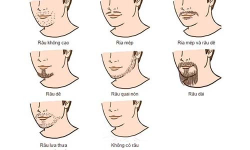 Doan biet ban tinh dan ong qua tuong rau