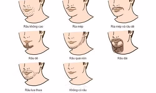 Doan biet ban tinh dan ong qua tuong rau