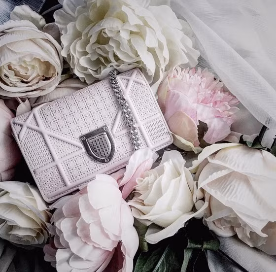 Chiếc túi Diorama trị giá 70 triệu đồng.