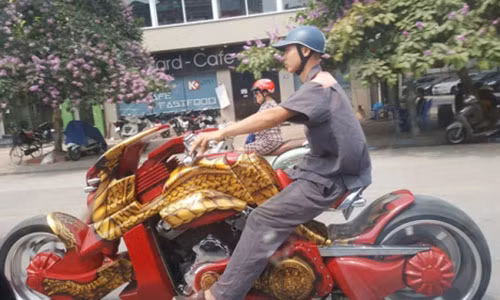 Chiec xe rong xuat hien tren pho Ha Noi gay “nao loan“