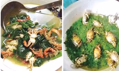 Cuoi ra nuoc mat voi mon an cua nhung co nang vung ve